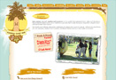 San Diego Web Design-Surf Simulators